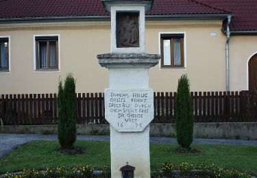 Percorso A piedi Gemeinde Pilgersdorf - Pilgersdorf - Raipel Bernstein - Photo