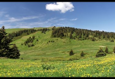 Excursión Senderismo Villard-sur-Doron - Mont Bisanne et Croix de Coste - Photo