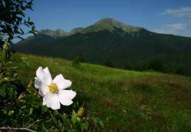 Randonnée A pied Ventasso - Cerreto dell'Alpi - Poggio Colombara - Passo del Lupo - Passo di Cavorsella - Photo