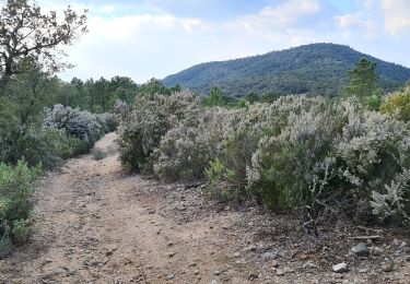 Tour Wandern Sainte-Maxime - Les Suils GR 51 départ de saint donat - Photo