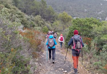 Randonnée Marche Signes - vallon d anis - Photo