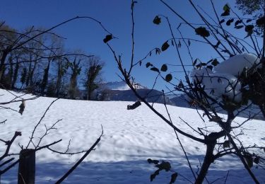 Tocht Stappen La Buisse - vers le col de la placette - Photo