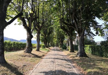 Trail Walking Pierreclos - Pierreclos - Photo