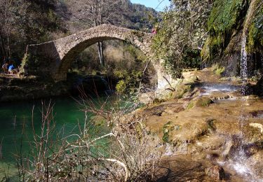 Trail Walking Saint-Cézaire-sur-Siagne - Incursion dans le Var et retour depuis Saint Cezaire - Photo
