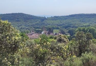 Tocht Stappen Saint-Laurent-de-Carnols - chapelle de Valbonne - Photo