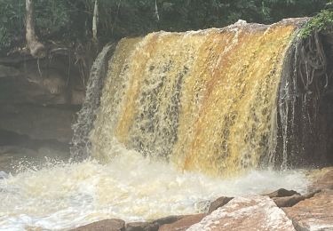 Randonnée Marche Rio Preto da Eva - Malaxassent 7 - Photo