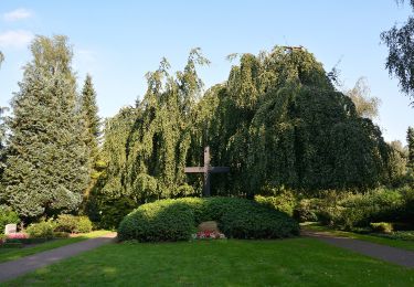 Tour Zu Fuß Meldorf - Wanderwege in und um Meldorf Tour 3 - Photo