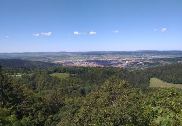 Tour Wandern Pontarlier - le grand taureau, Pontarlier - Photo