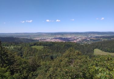 Trail Walking Pontarlier - le grand taureau, Pontarlier - Photo