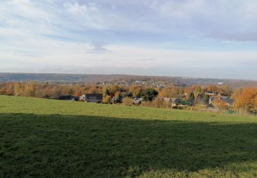 Randonnée Marche Esneux - esneux - Photo