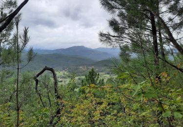 Excursión Senderismo Courry - Chapelle St Sébastien au départ de Pierre Morte - Photo