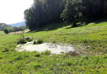 Tour Wandern Bilieu - tour de lac. Paladru  - Photo