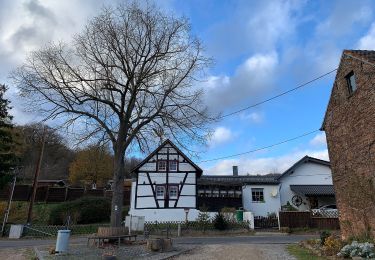 Tocht Te voet Mechernich - Katzensteine Rundweg A2 - Photo