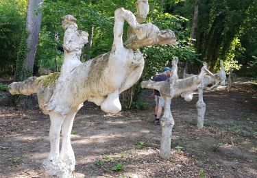 Trail Walking Parmain - L Petit tour Valmondois - Photo