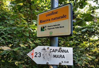 Percorso A piedi Albavilla - Sentiero degli Alpini - Photo