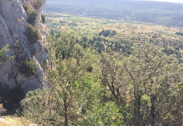 Tocht Stappen Saint-Bauzille-de-Putois - Grotte des demoiselles  - Photo