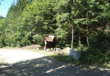 Tour Wandern Wegscheid - Circuit des Rochers - Photo