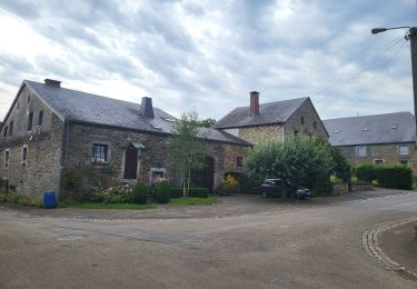 Trail Walking Libin - Villance 140825 - Photo