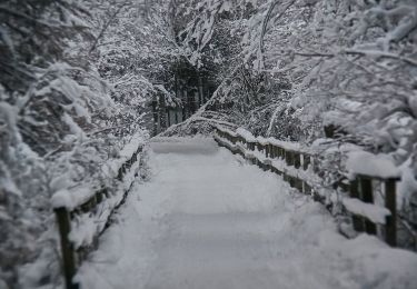 Tocht Te voet  - Hällmarksslingan - Photo