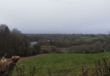Trail Walking Putanges-le-Lac - Putanges - Photo