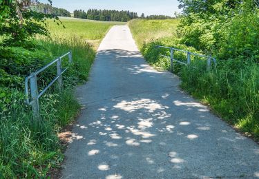 Tocht Te voet Römerswil - Neudorf - Herlisberg - Photo