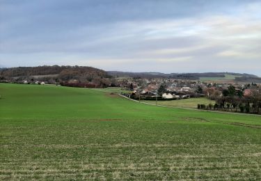 Tour Wandern La Saulsotte - Rando Santé du 27 nov. - La Saulsotte - Photo