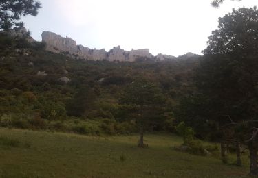 Percorso Arrampicata su alberi Duilhac-sous-Peyrepertuse - Cathare 4 Duilhac sous P.  Bugarach - Photo