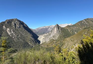 Trail Walking Castellane - Cadieres de Brandis Light 2 - Photo