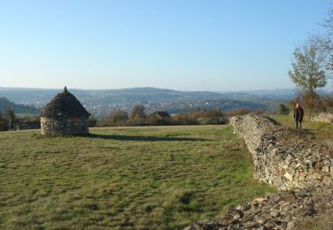 Trail Walking Livinhac-le-Haut - CC_Velay_CB_11_Livinhac-Haut_Figeac_20071102 - Photo