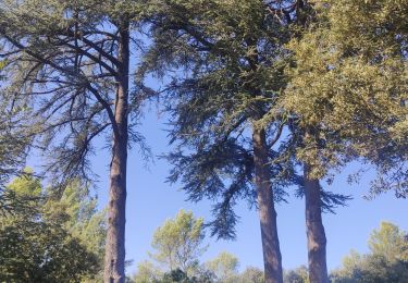 Trail Walking Nimes - Le Clos de Gaillard - Automne - Photo