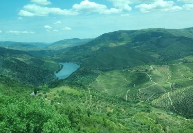 Tour Auto Vale da Figueira - route vins - Photo