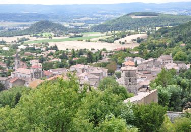 Tocht Stappen Marsanne - Marsanne Col de la Grande Limite. 10km. - Photo