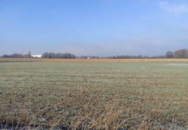 Randonnée Marche Heimsbrunn - Reiningue Paradisvogl retour - Photo