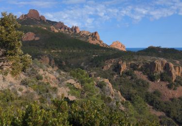 Excursión Senderismo Saint-Raphaël - de L'Esterel au rastel - Photo