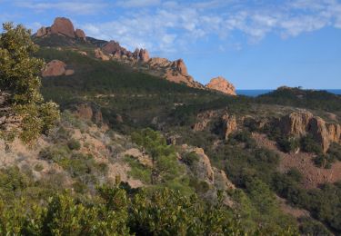 Randonnée Marche Saint-Raphaël - de L'Esterel au rastel - Photo