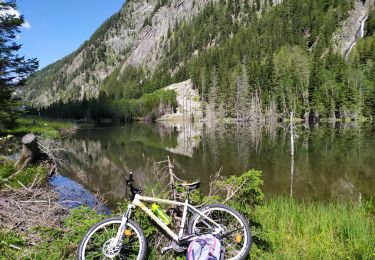 Trail Mountain bike Mallnitz - Mallnitz Dösener - Photo