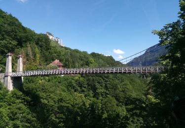 Trail Walking Cusy - chaos du Cjera' Pont de l'abîme - Photo