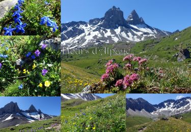Excursión A pie Albiez-Montrond - Basse du Gerbier-2020-07-05 - Photo