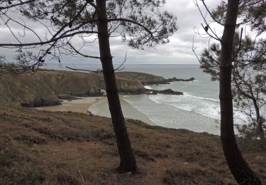 Trail Walking Telgruc-sur-Mer - TELGRUC - Photo