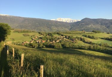 Excursión Bici de montaña Eybens - Frange Verte 01 - Photo