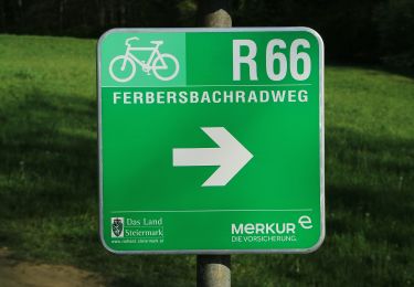 Percorso A piedi Hausmannstätten - Rundwanderweg 11 - Photo