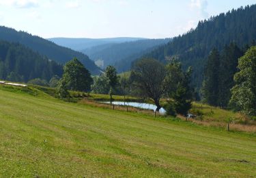 Percorso A piedi Furtwangen im Schwarzwald - Fohrenbühl - Briglirain - Photo