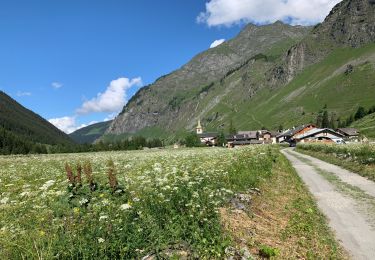 Trail Walking Champagny-en-Vanoise - Refuge du Laisonnay depuis camping Canada - Photo