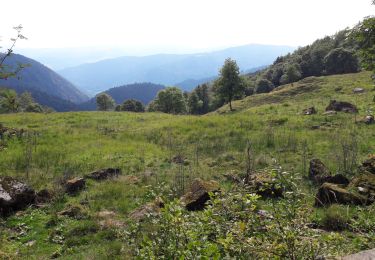 Trail Walking La Bresse - la Bresse  - Photo