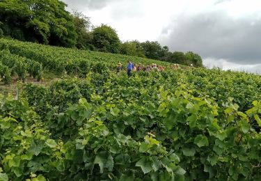 Tour Wandern Château-Thierry - Château Thierry du 7 Juillet 2022 - Photo
