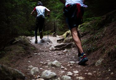 Trail Other activity  - Nouveau 4guide - Photo