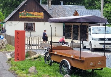 Trail Walking Chambon-sur-Lac - Puy de Sancy - Photo