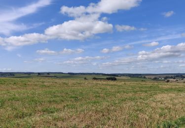 Tour Wandern Sainte-Ode - saint ode - Photo