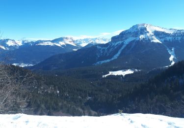 Tocht Sneeuwschoenen Sarcenas - Crêtes du Mont Fromage et oratoire d'Orgeval en circuit partiel - Photo