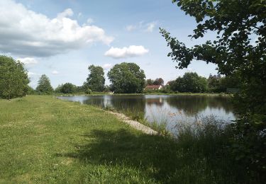 Tour Wandern Sentheim - Par la forêt et le fil de l'eau - Photo